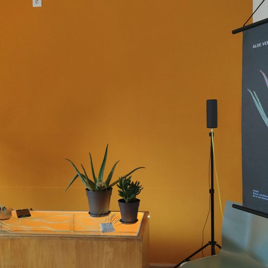 Meridiane des Klangs Soundperformance