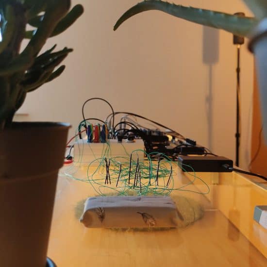 Meridiane des Klangs Soundperformance