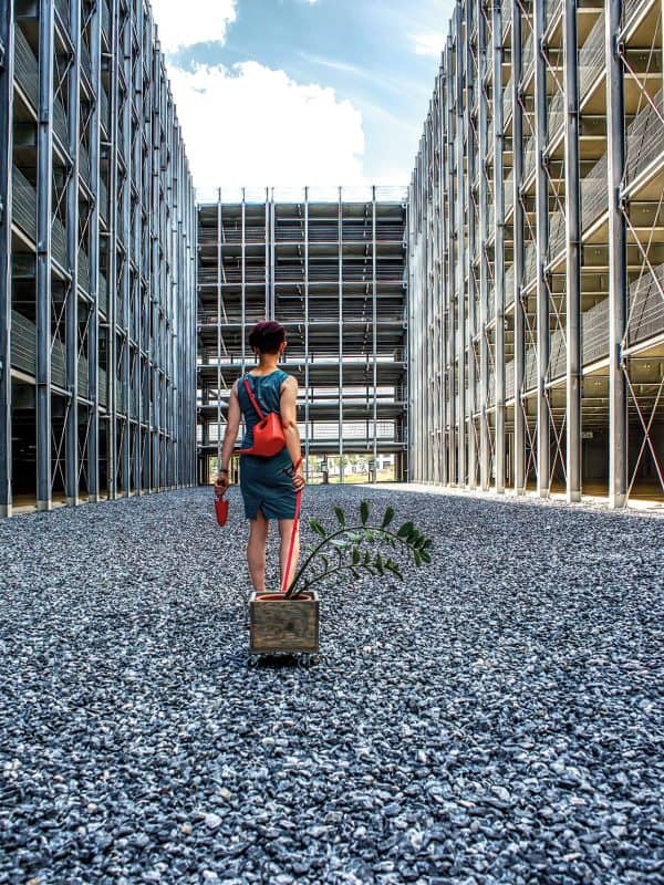 Ko-Existenz Performance